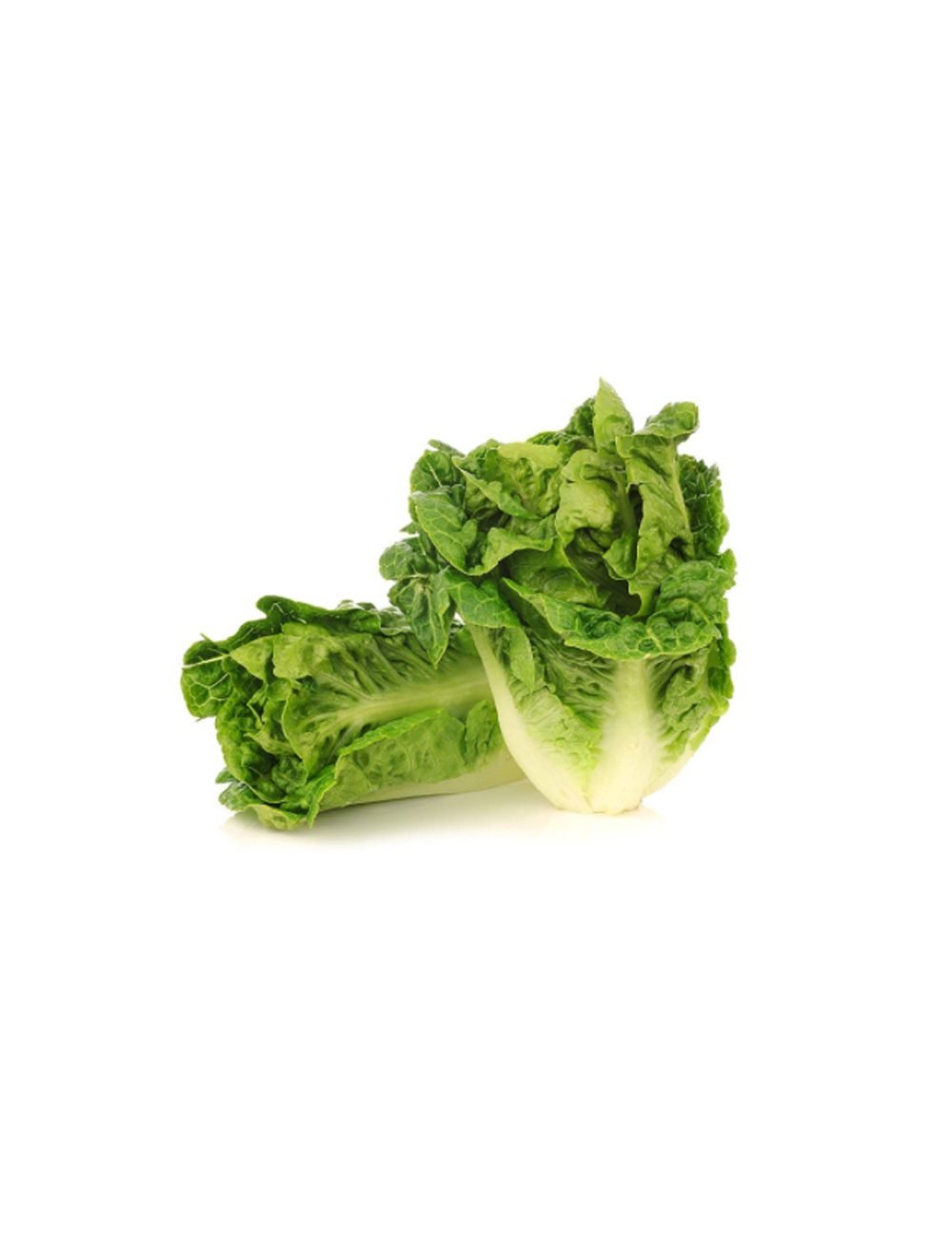 Organic Lettuce Little 2pcs